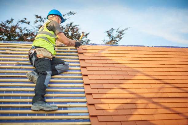 Best Asphalt Shingle Roofing  in Peachtree Corners, GA